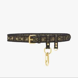 Fendi Women Brown Fabric Belt