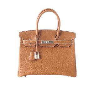 Hermes Birkin 25 Bag in Togo Leather with Gold Hardware-Brown