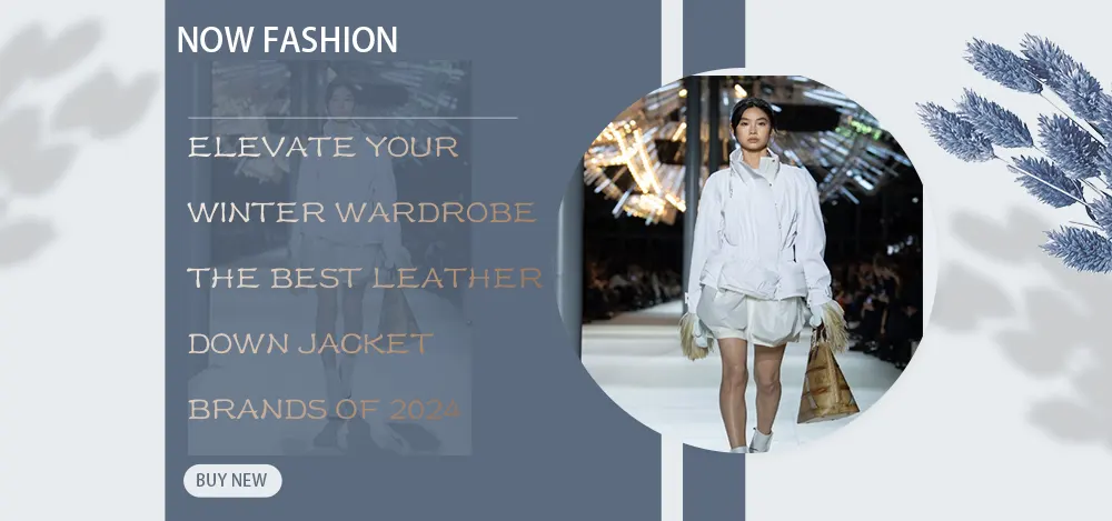 Exploring Louis Vuitton Down Jackets: Style Meets Winter Warmth