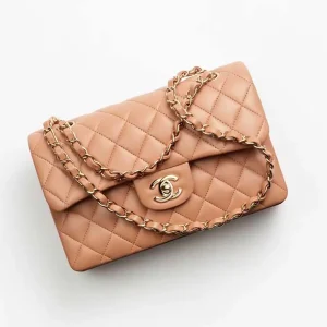 Chanel Women Small Classic Handbag in Lambskin Leather-Brown
